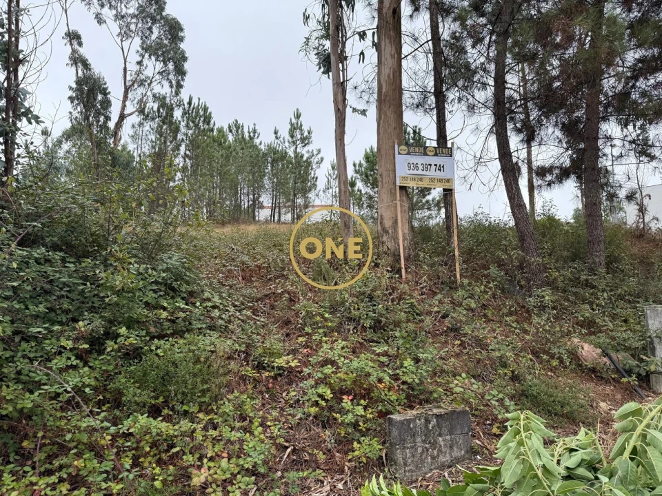 Terreno para Venda em Rates Foto 14