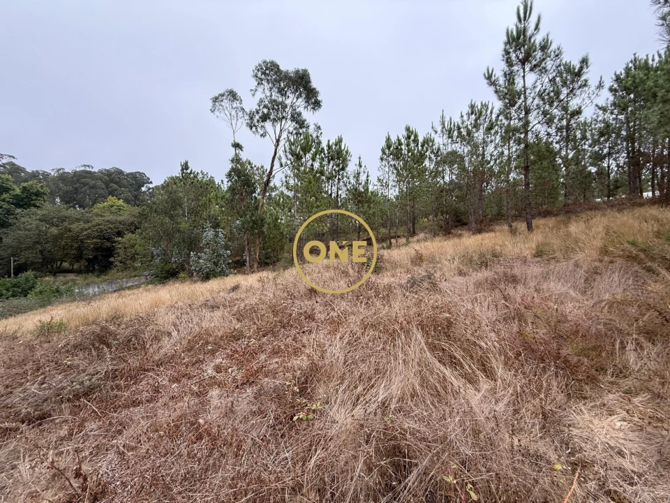 Terreno para Venda em Rates Foto 2