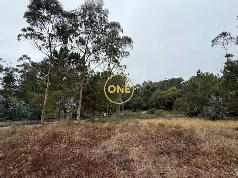 Terreno para Venda em Rates Foto 18