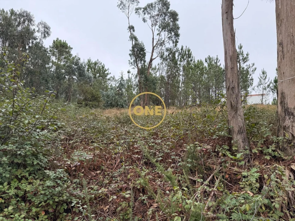 Terreno para Venda em Rates Foto 13