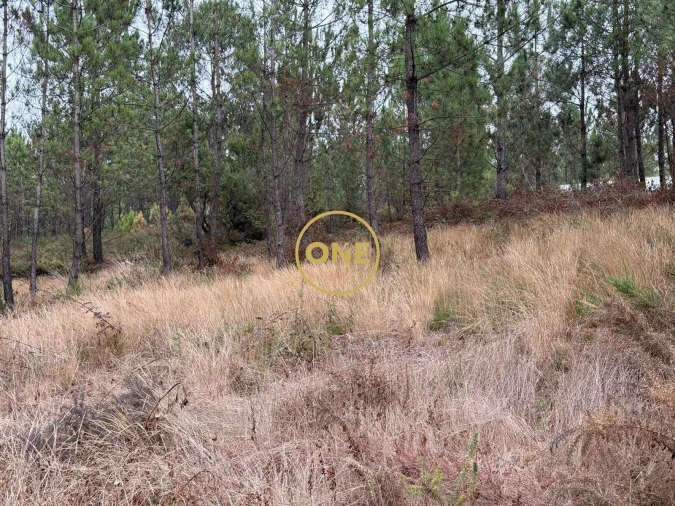 Terreno para Venda em Rates Foto 6