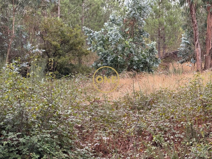 Terreno para Venda em Rates Foto 19