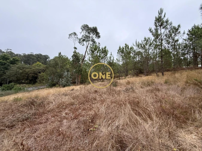 Terreno para Venda em Rates Foto 4