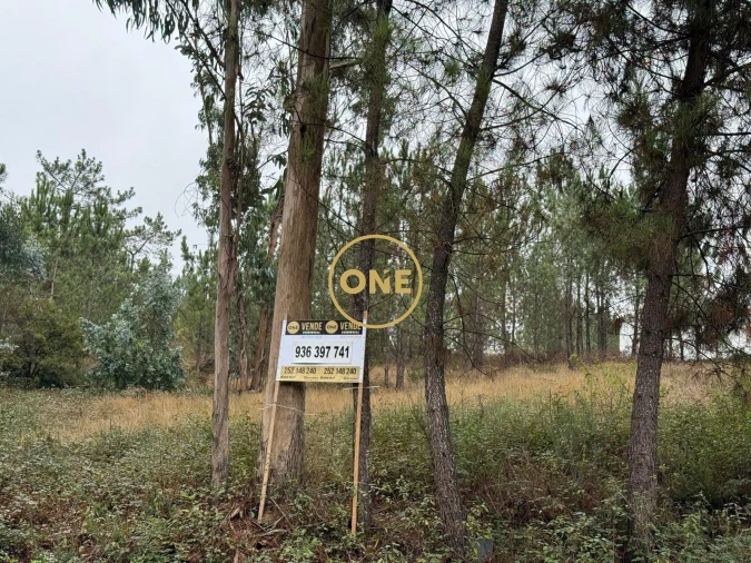 Terreno para Venda em Rates Foto 15