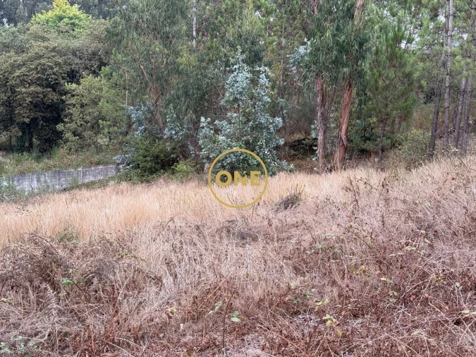 Terreno para Venda em Rates Foto 7