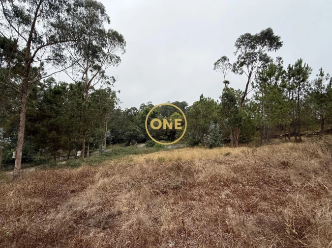 Terreno para Venda em Rates Foto 17