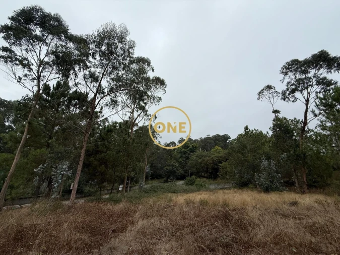 Terreno para Venda em Rates Foto 3