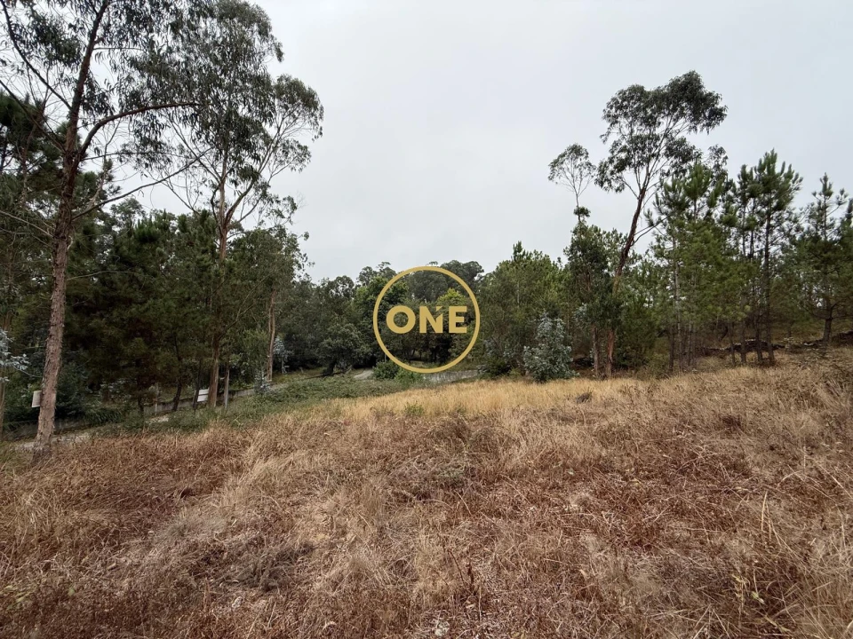 Terreno para Venda em Rates Foto 17