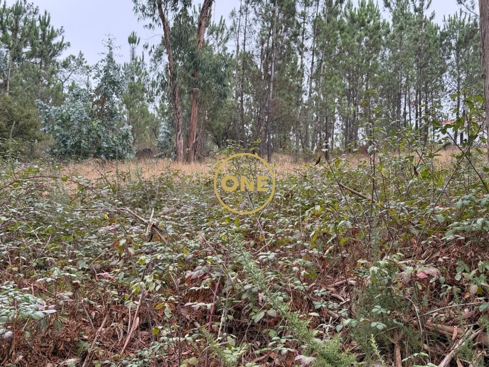 Terreno para Venda em Rates Foto 9