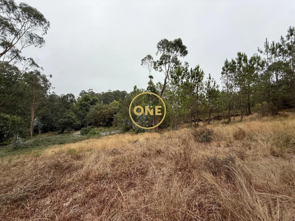 Terreno para Venda em Rates Foto 1