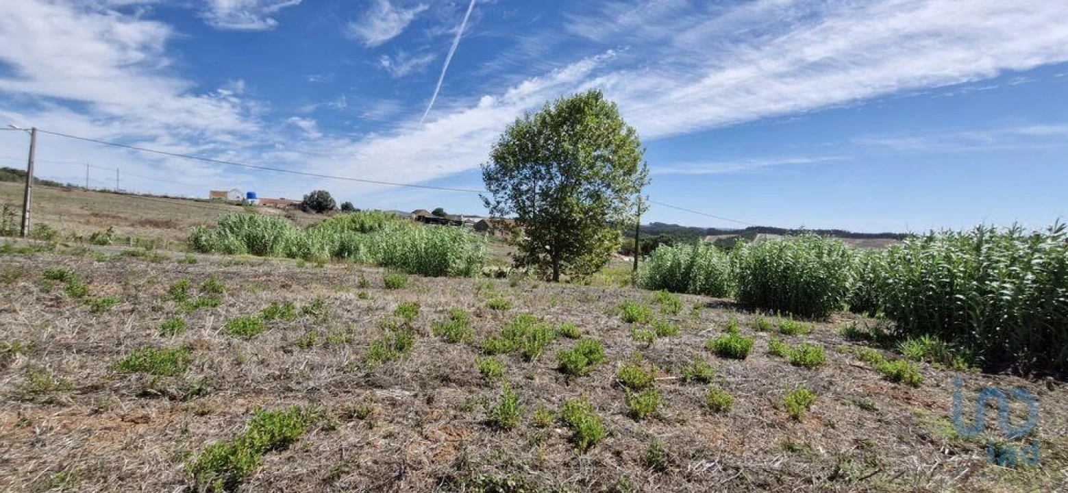 Terreno para Venda em Alcobertas Foto 9