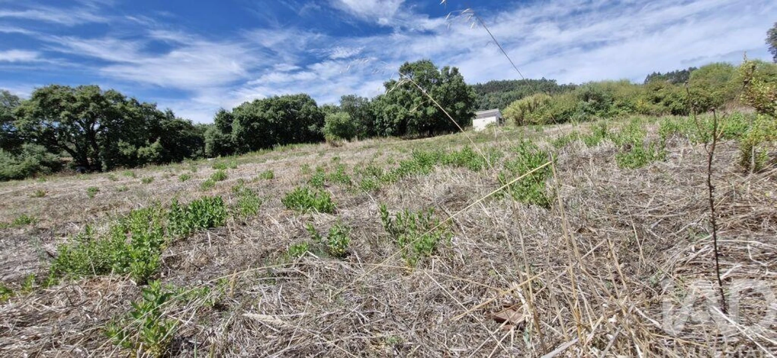 Terreno para Venda em Alcobertas Foto 16