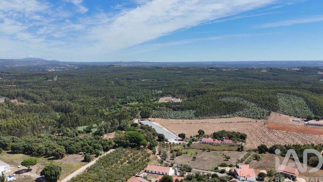 Terreno para Venda em Alcobertas Foto 27