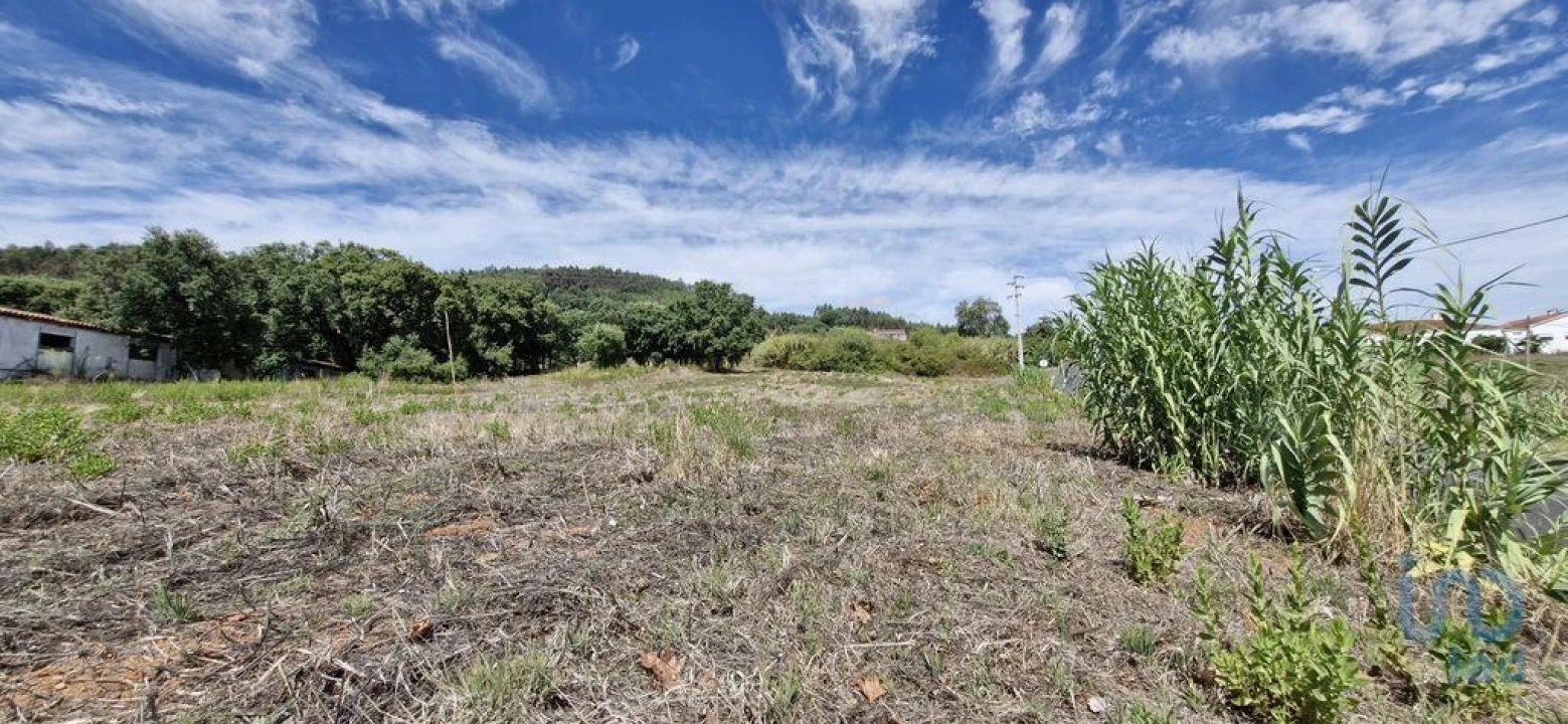 Terreno para Venda em Alcobertas Foto 13