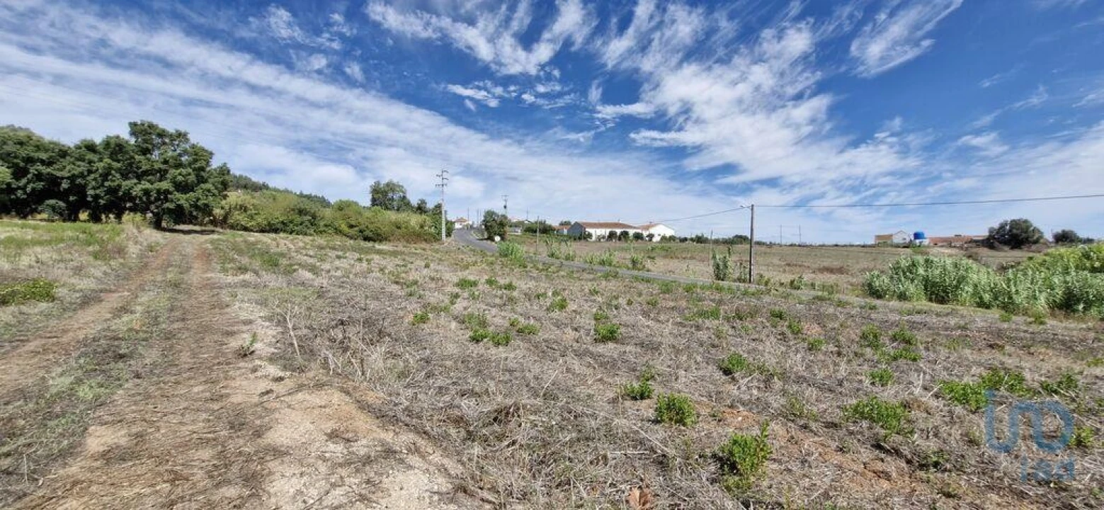 Terreno para Venda em Alcobertas Foto 10