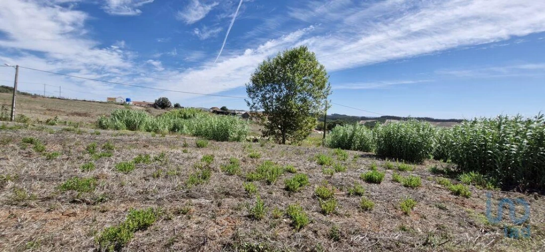Terreno para Venda em Alcobertas Foto 9