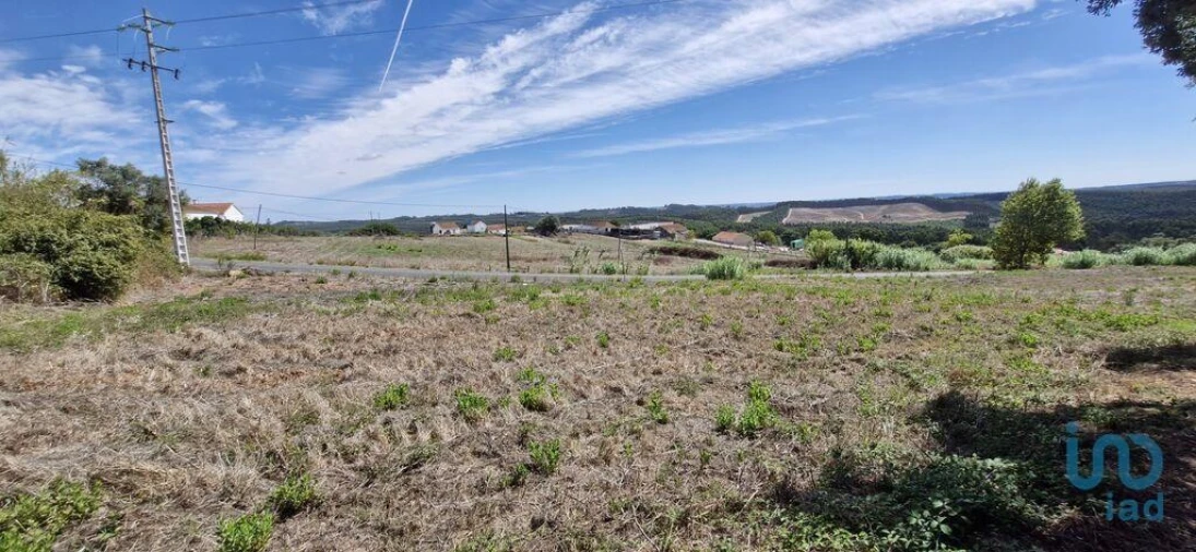 Terreno para Venda em Alcobertas Foto 5
