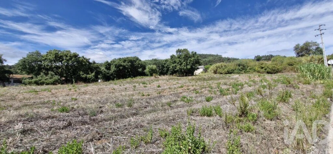 Terreno para Venda em Alcobertas Foto 15
