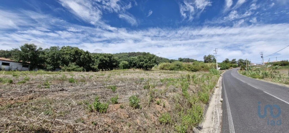 Terreno para Venda em Alcobertas Foto 14