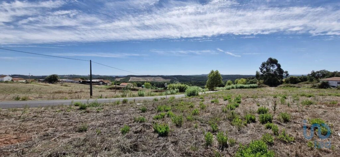 Terreno para Venda em Alcobertas Foto 4