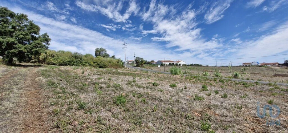 Terreno para Venda em Alcobertas Foto 8