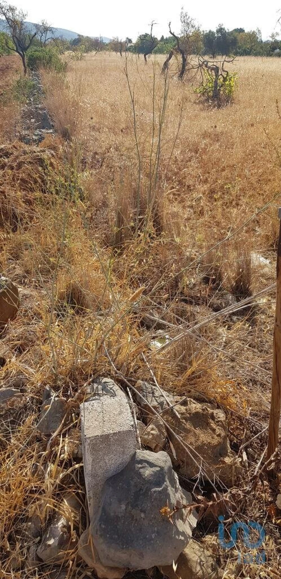 Terreno para Venda em Boliqueime Foto 2