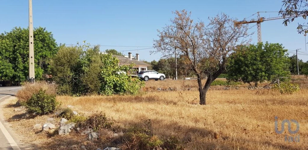 Terreno para Venda em Boliqueime Foto 1