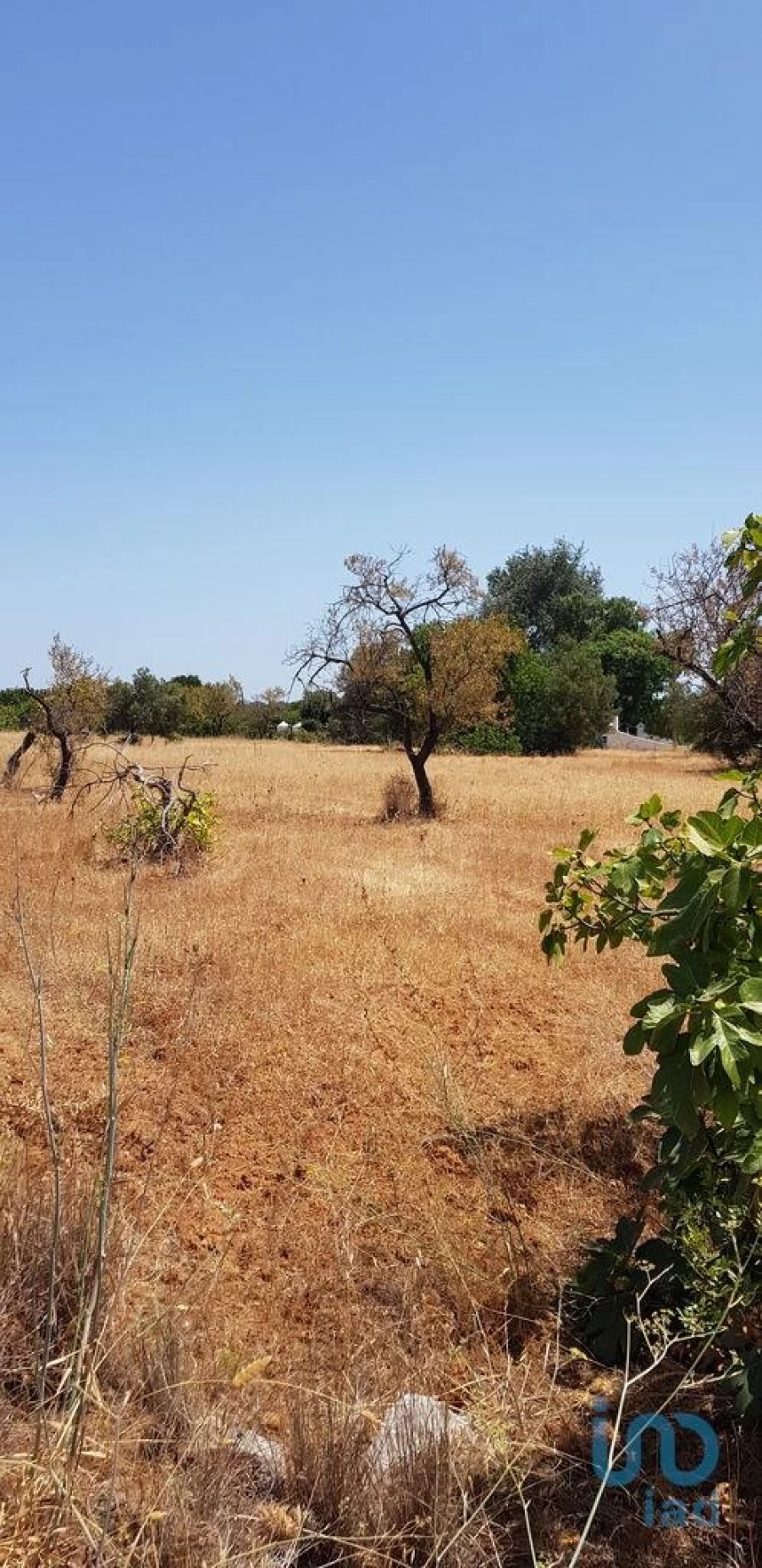 Terreno para Venda em Boliqueime Foto 6