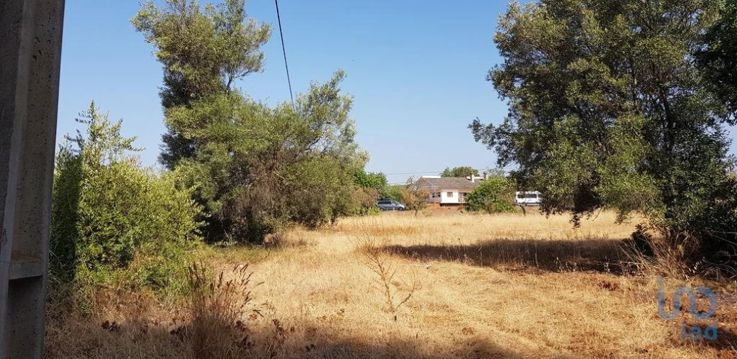 Terreno para Venda em Boliqueime Foto 5