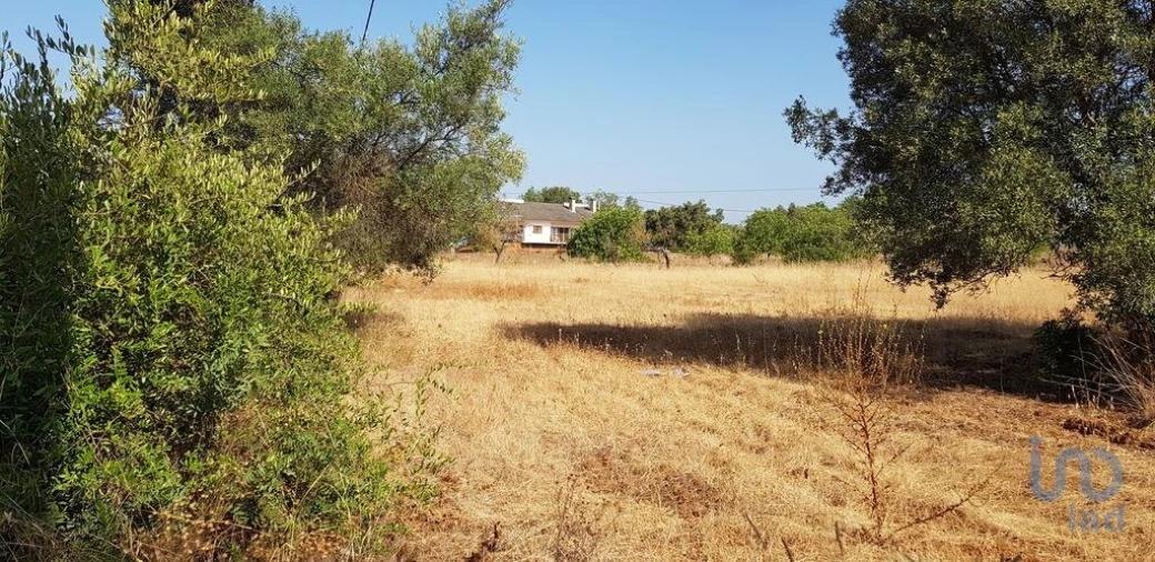 Terreno para Venda em Boliqueime Foto 4