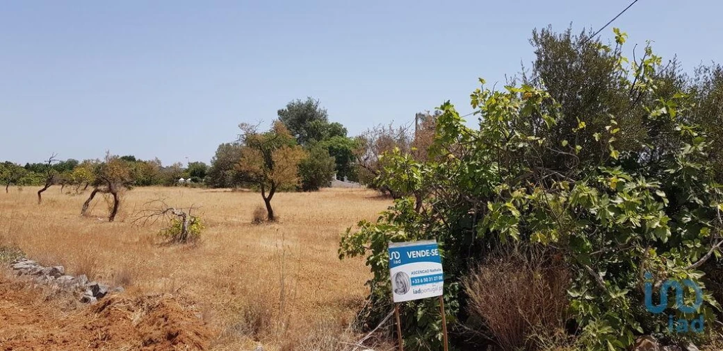Terreno para Venda em Boliqueime Foto 8