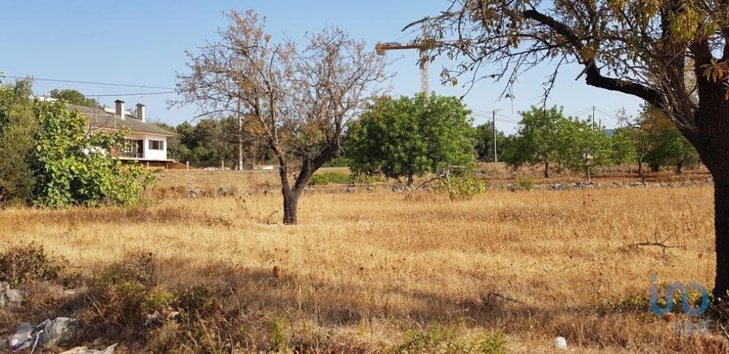 Terreno para Venda em Boliqueime Foto 3