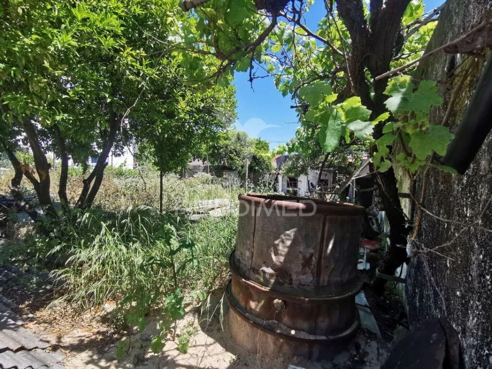 Terreno para Venda em Vila Nova da Barquinha Foto 10