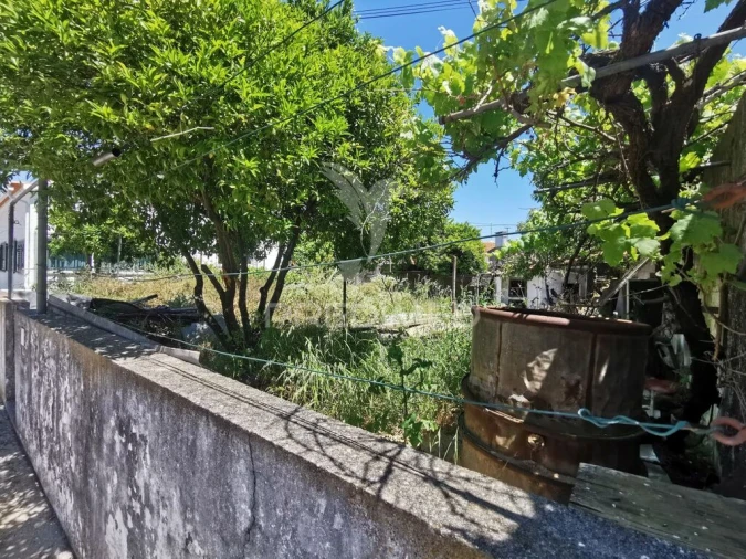 Terreno para Venda em Vila Nova da Barquinha Foto 7
