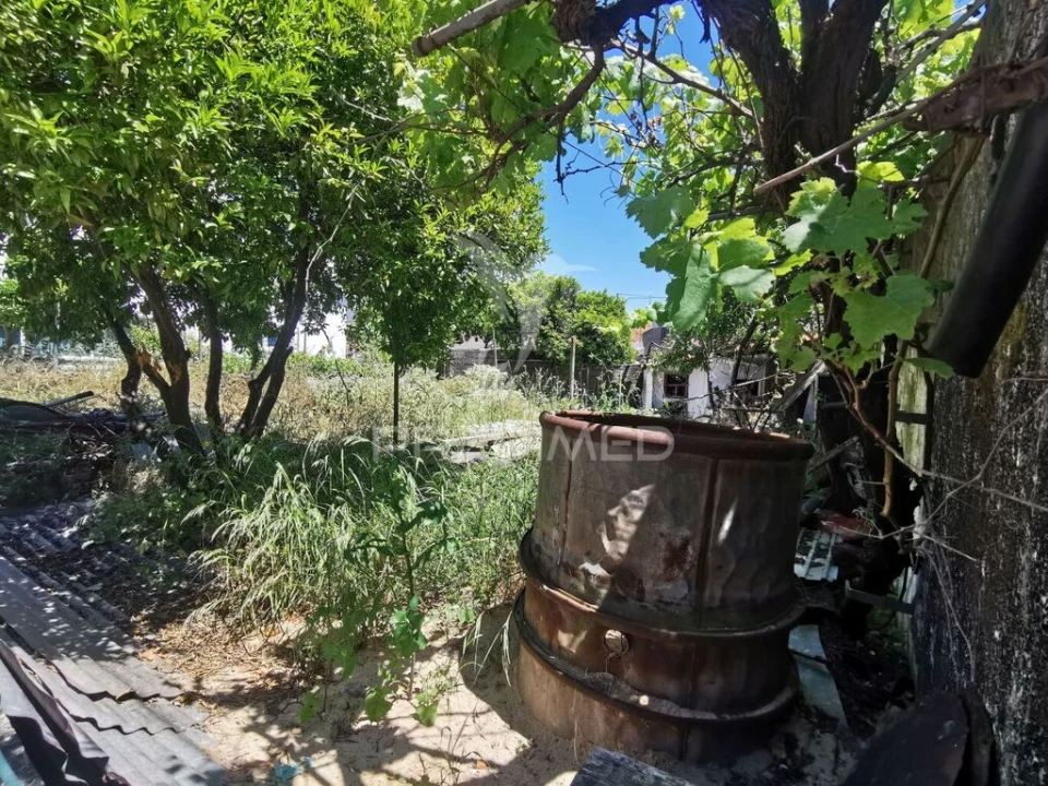 Terreno para Venda em Vila Nova da Barquinha Foto 8