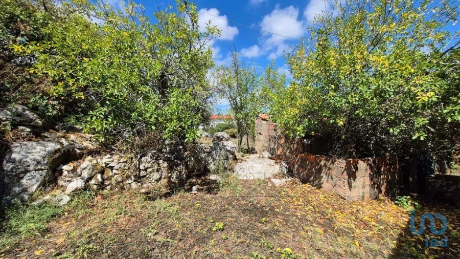 Moradia T3 para Venda em Porto de Mós - São João Baptista e São Pedro Foto 8