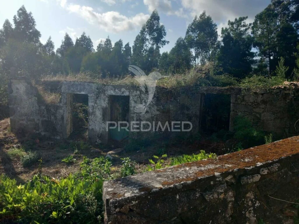 Quinta para Venda em Cossourado Foto 1