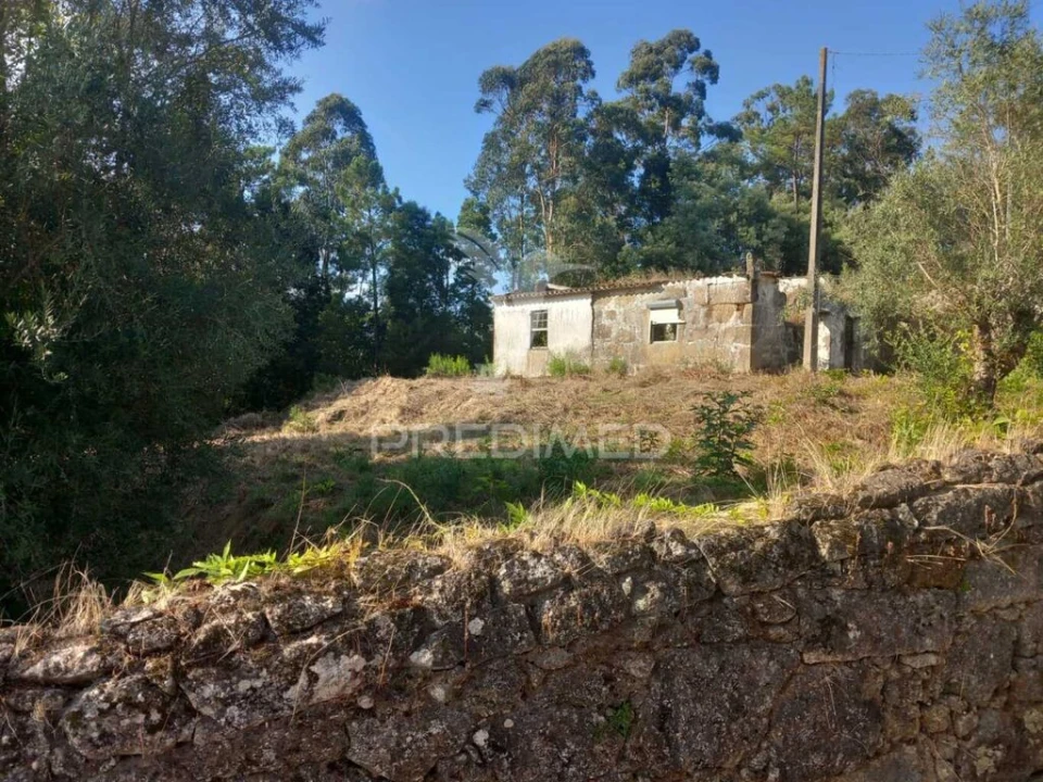 Quinta para Venda em Cossourado Foto 18