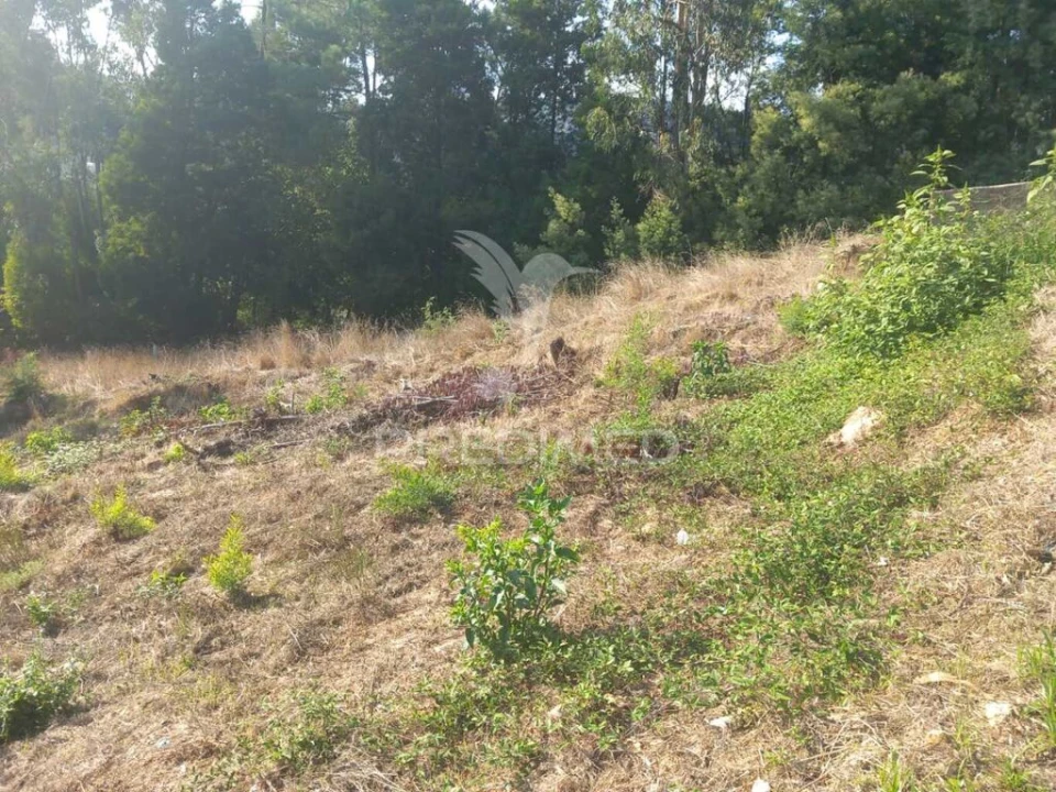 Quinta para Venda em Cossourado Foto 6