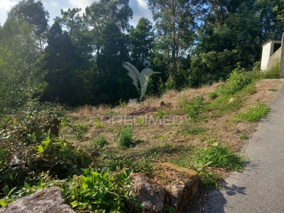 Quinta para Venda em Cossourado Foto 9