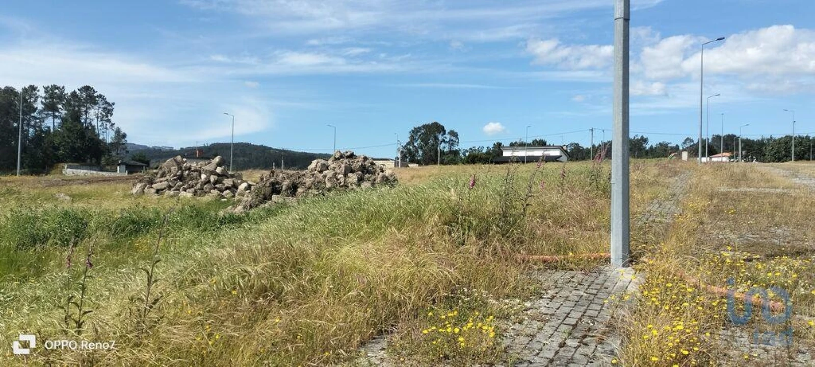 Terreno para Venda em Fonte Arcada e Oliveira Foto 8