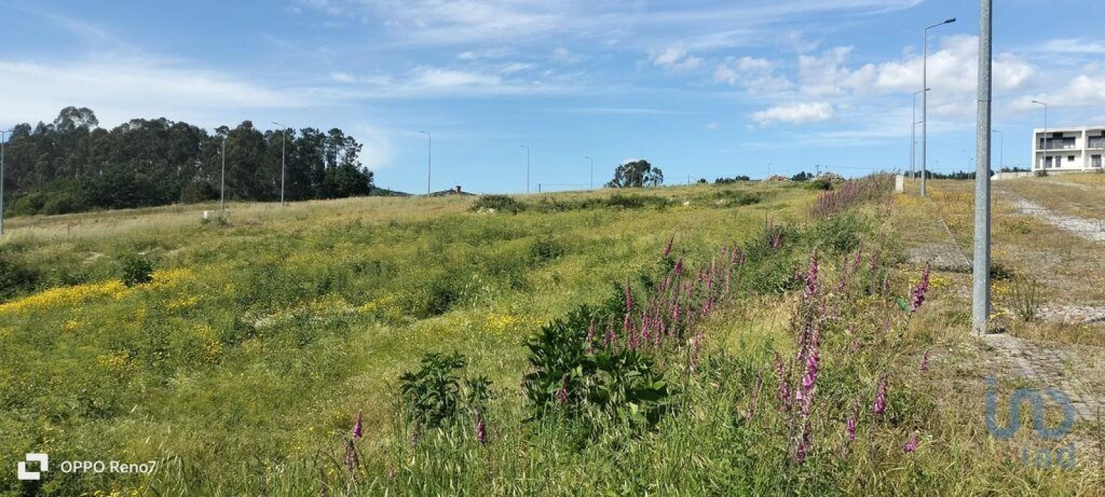 Terreno para Venda em Fonte Arcada e Oliveira Foto 6