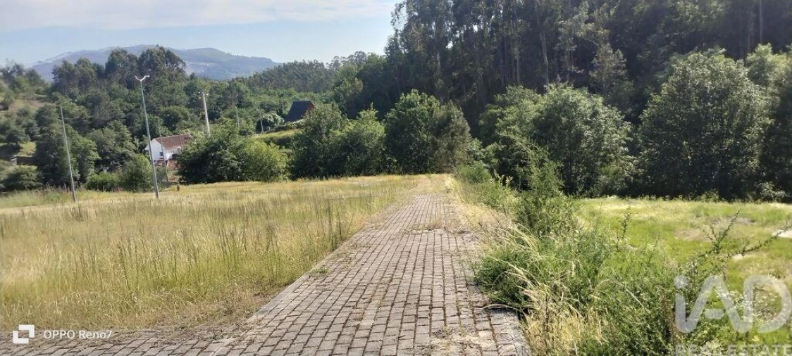 Terreno para Venda em Fonte Arcada e Oliveira Foto 16