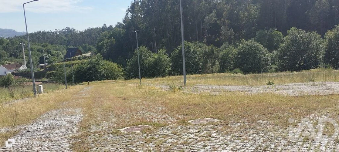 Terreno para Venda em Fonte Arcada e Oliveira Foto 22
