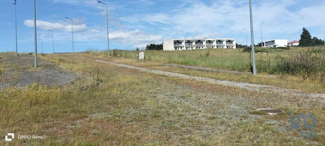 Terreno para Venda em Fonte Arcada e Oliveira Foto 4