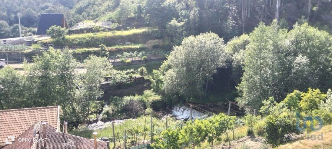 Terreno para Venda em Fonte Arcada e Oliveira Foto 7