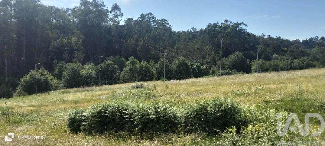 Terreno para Venda em Fonte Arcada e Oliveira Foto 23