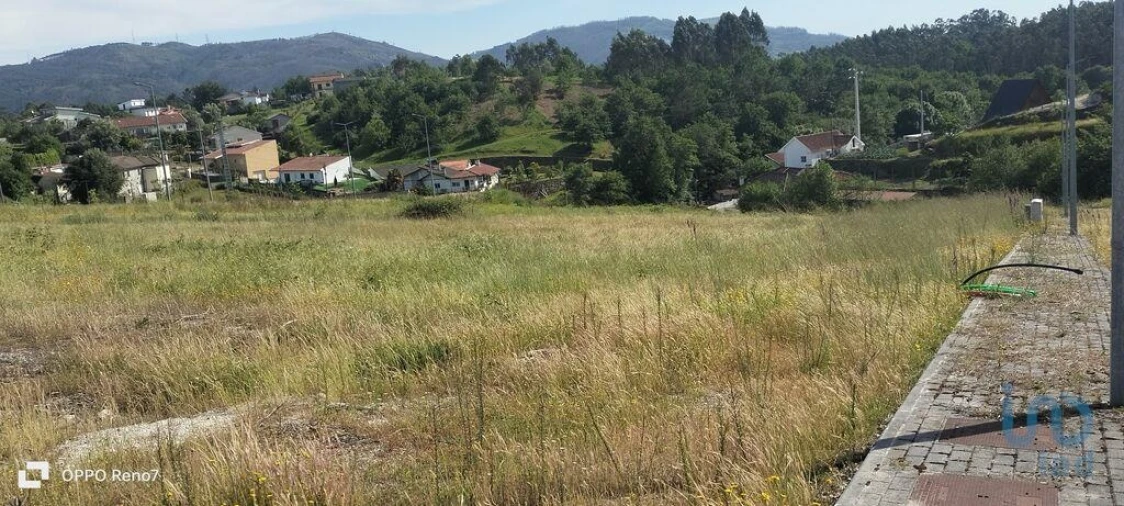 Terreno para Venda em Fonte Arcada e Oliveira Foto 9
