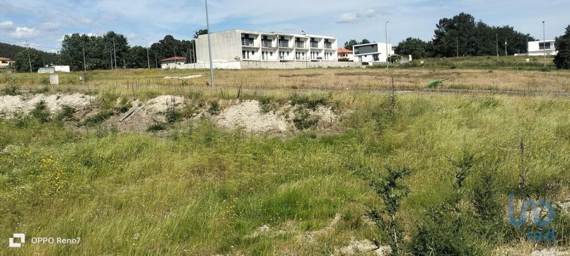 Terreno para Venda em Fonte Arcada e Oliveira Foto 12