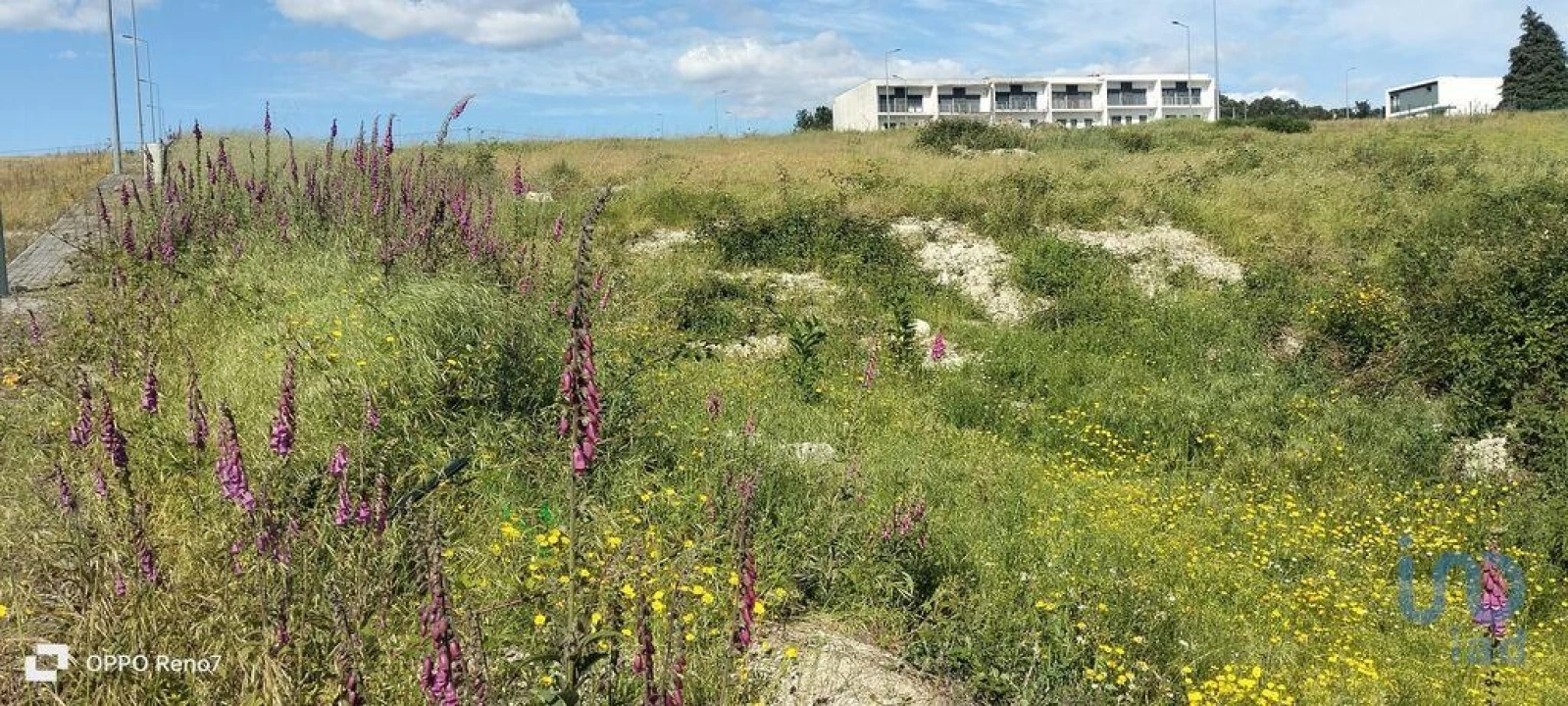 Terreno para Venda em Fonte Arcada e Oliveira Foto 2